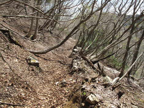 20140502hike (195)